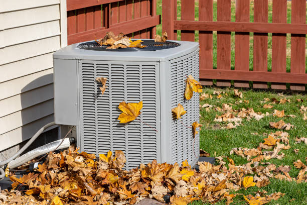 Best Air Filters and Purifiers in Worthington, MN